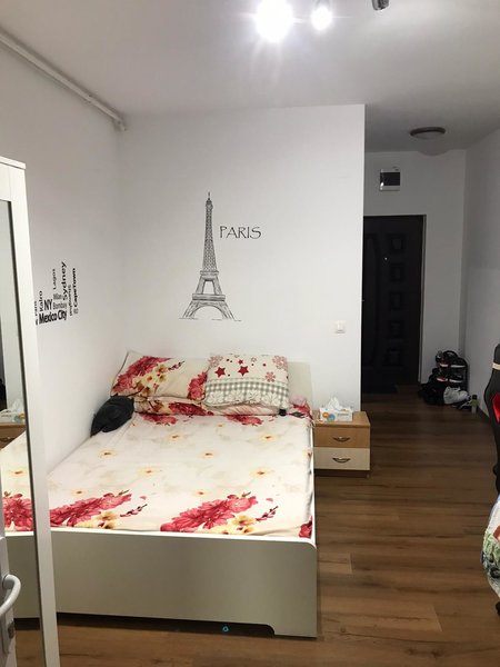 Sector 4, Berceni, Aleea Moldovita